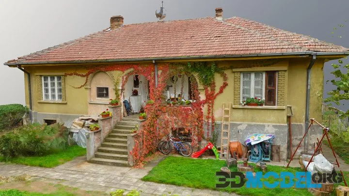 Villa For The Director, Vuchje