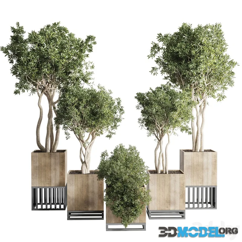 wooden Box Plants on Stand - collection of houseplants indoor 193
