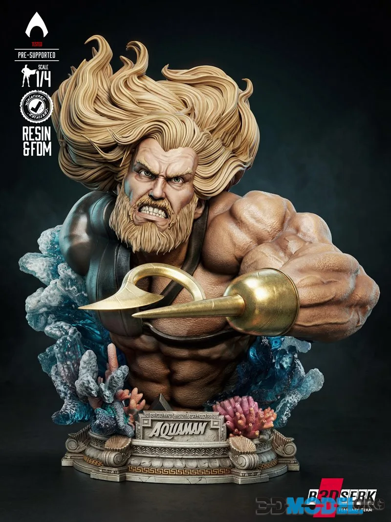 B3DSERK - Aquaman Bust Portrait – Printable