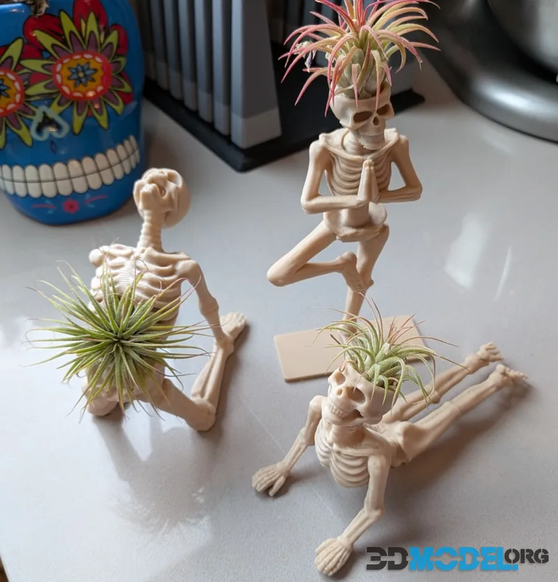 Air Plant Yoga Skeletons Part 2 – Printable