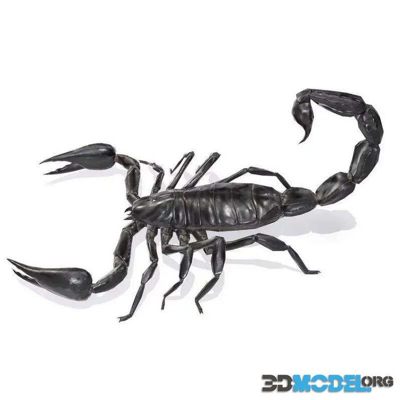 Black Scorpion (PBR)