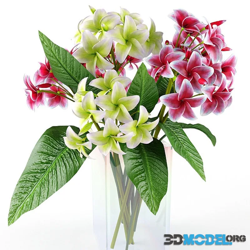 Bouquet of yellow and pink flowers of Plumeria