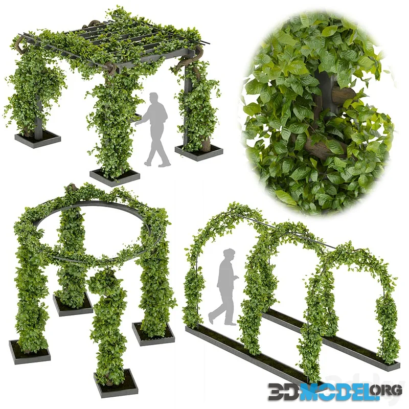 Collection plant vol 269 -Fitowall - garden - ertical