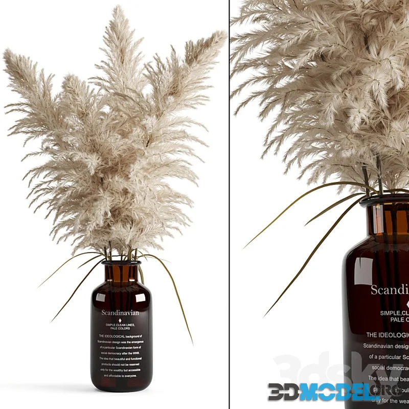 Cortaderia (pampas grass) in a vase
