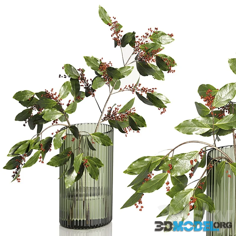 Decorative Plants 02