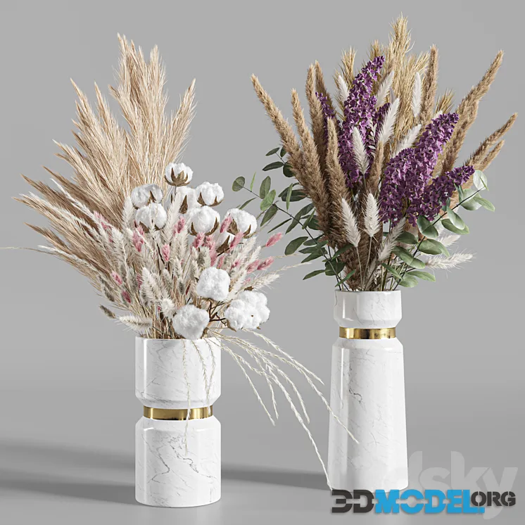 Flower Set 025 Pampas