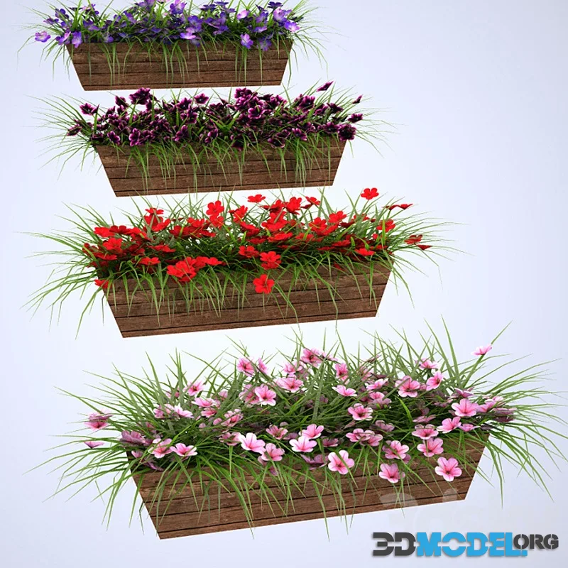 Flowers in boxes mounted