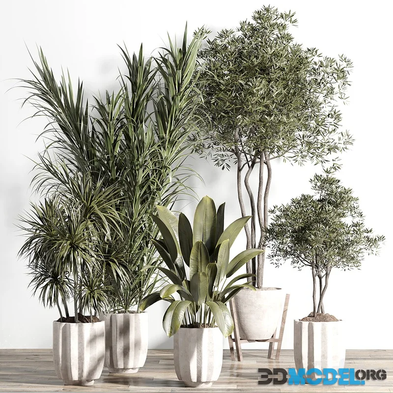 indoor plant - set 60