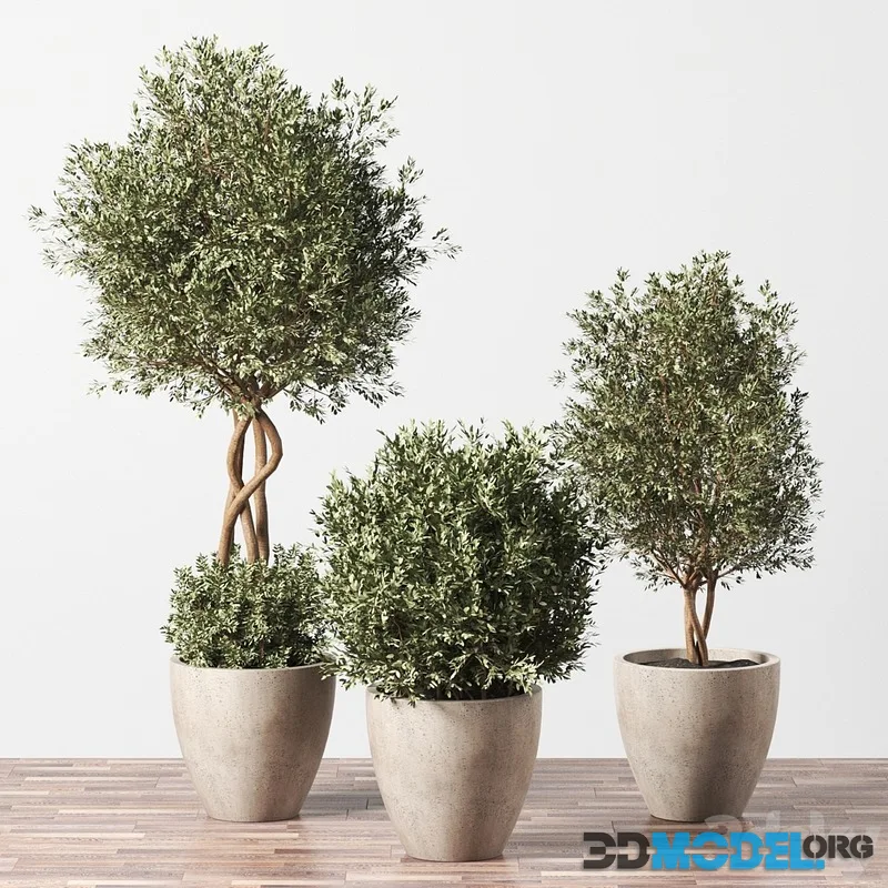 Indoor Plant Set 01