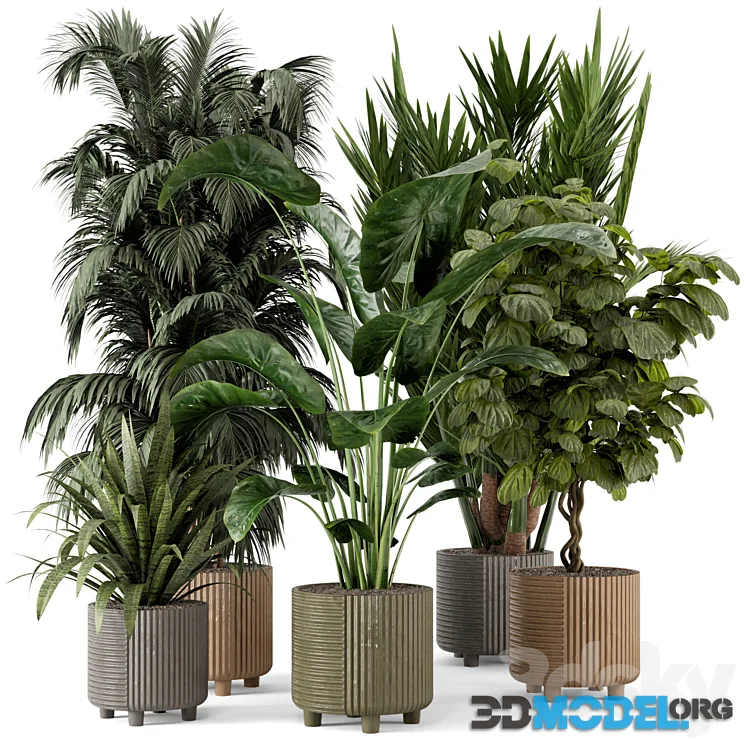 Indoor Planters in Cecilia Ficonstone Pot – Set 349