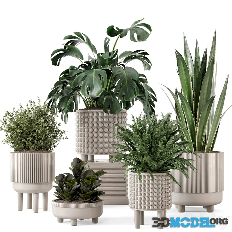 Indoor Plants in Standing Legs Small Bowl Concrete Pot - Set 1041