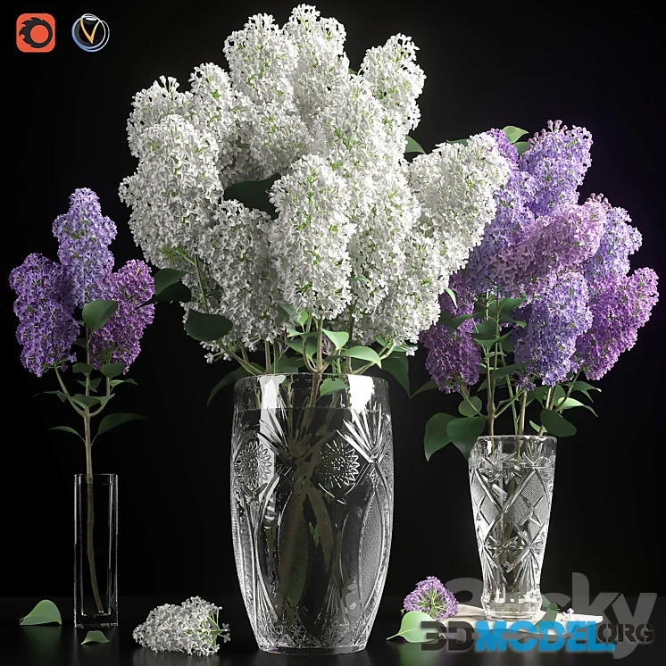 LILAC 3 in 1