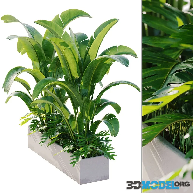 outdoor plant set 12