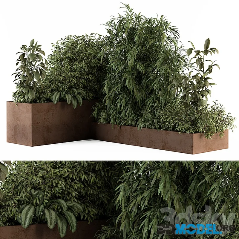 Outdoor Plant Set 385