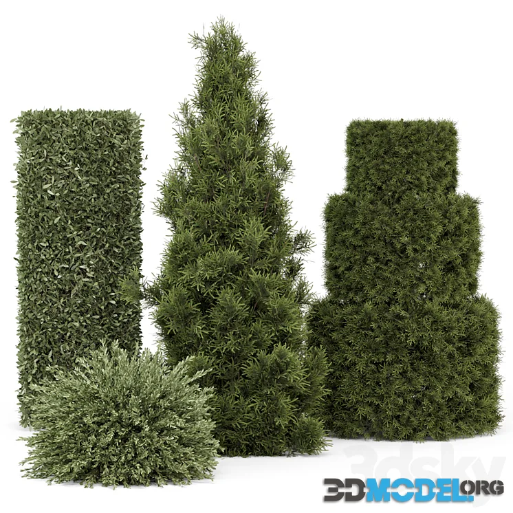 Outdoor Plants Bush -Bush Set 2115