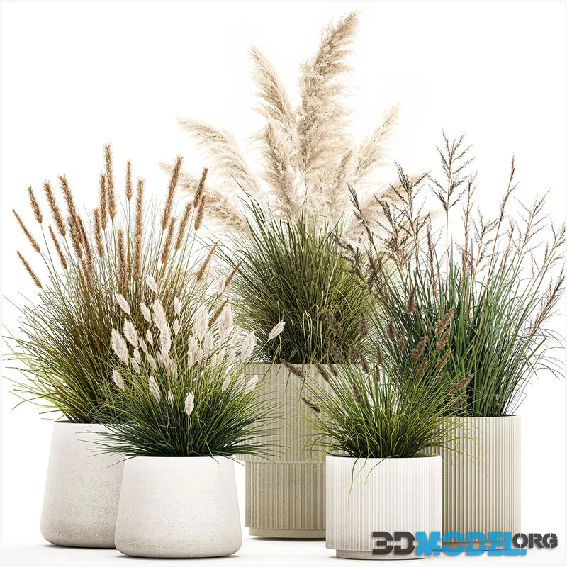 Plant collection 1461