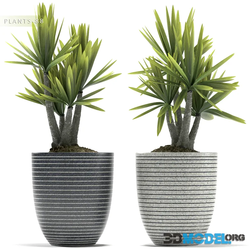 PLANTS 88
