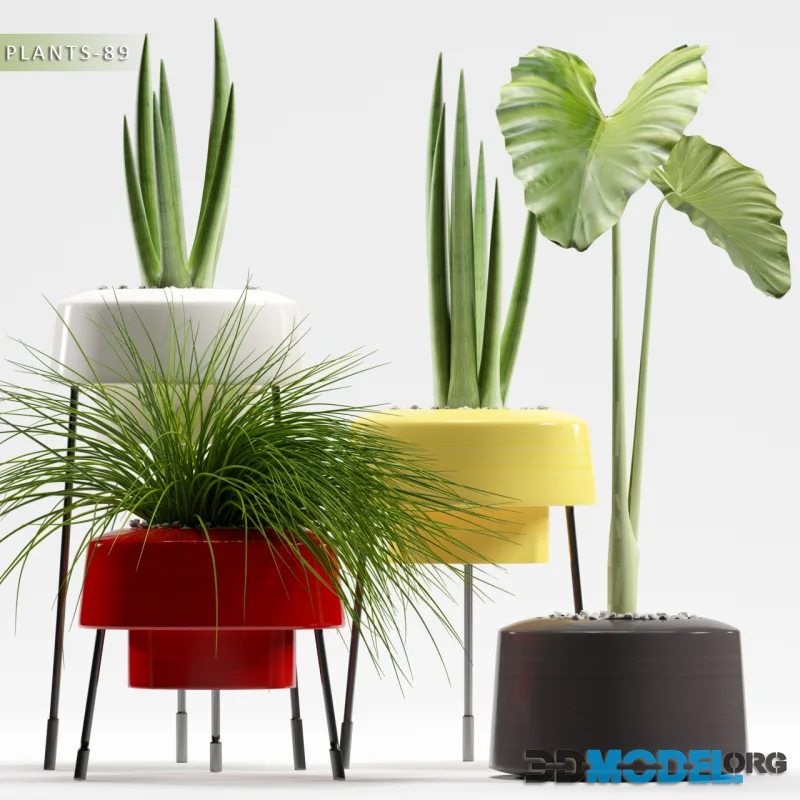 PLANTS 89