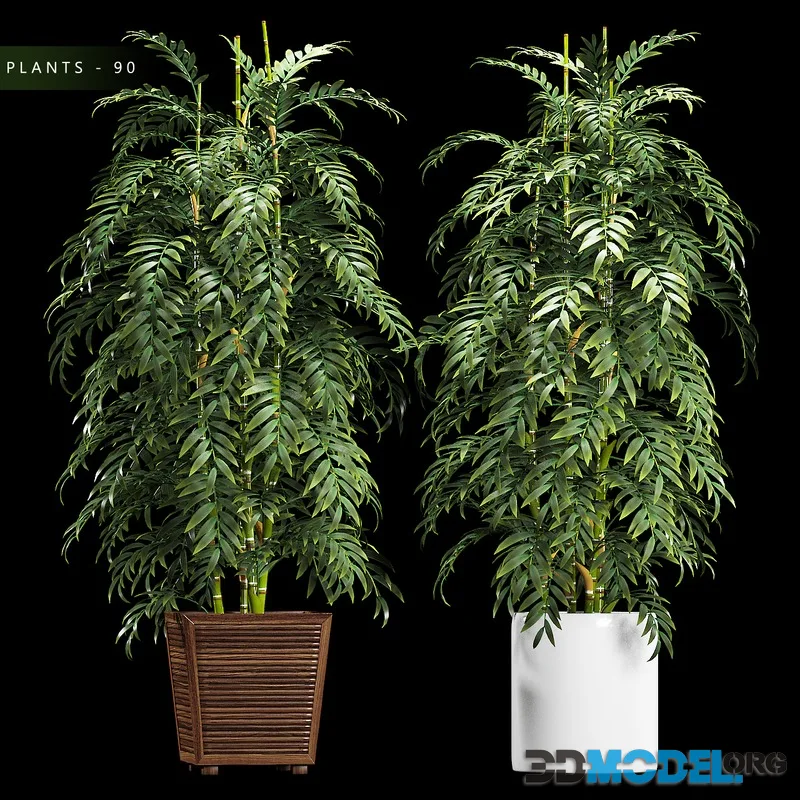 PLANTS 90