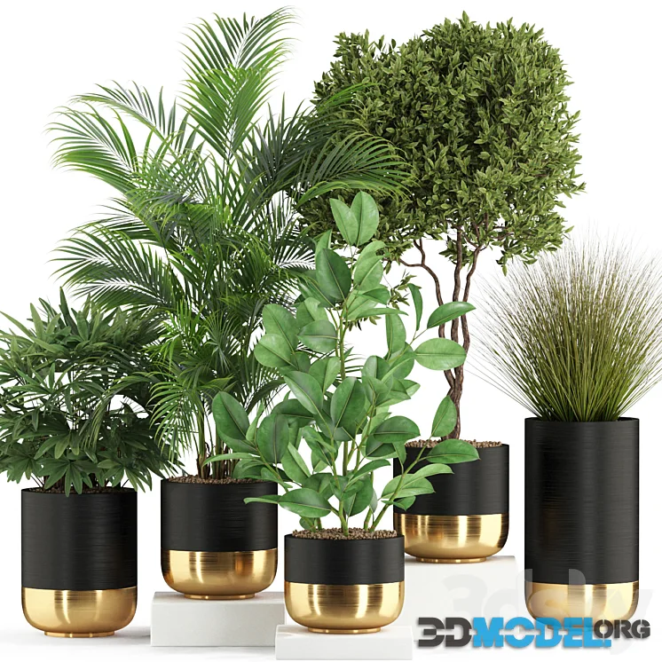 Plants collection 540