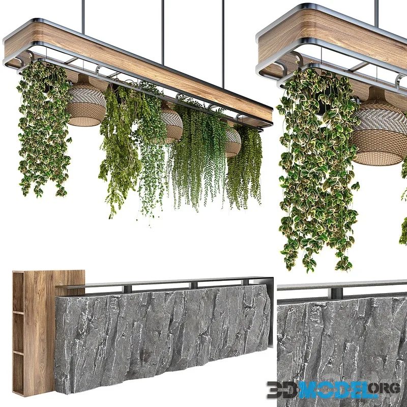 Restaurant counter with hanging plants