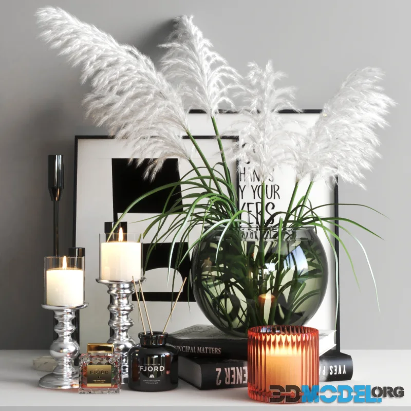 Set356 -Cortaderia