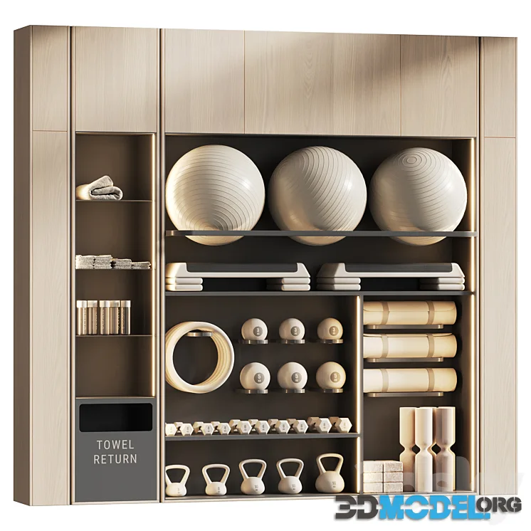 Shelf with sports equipment for yoga and group classes 002