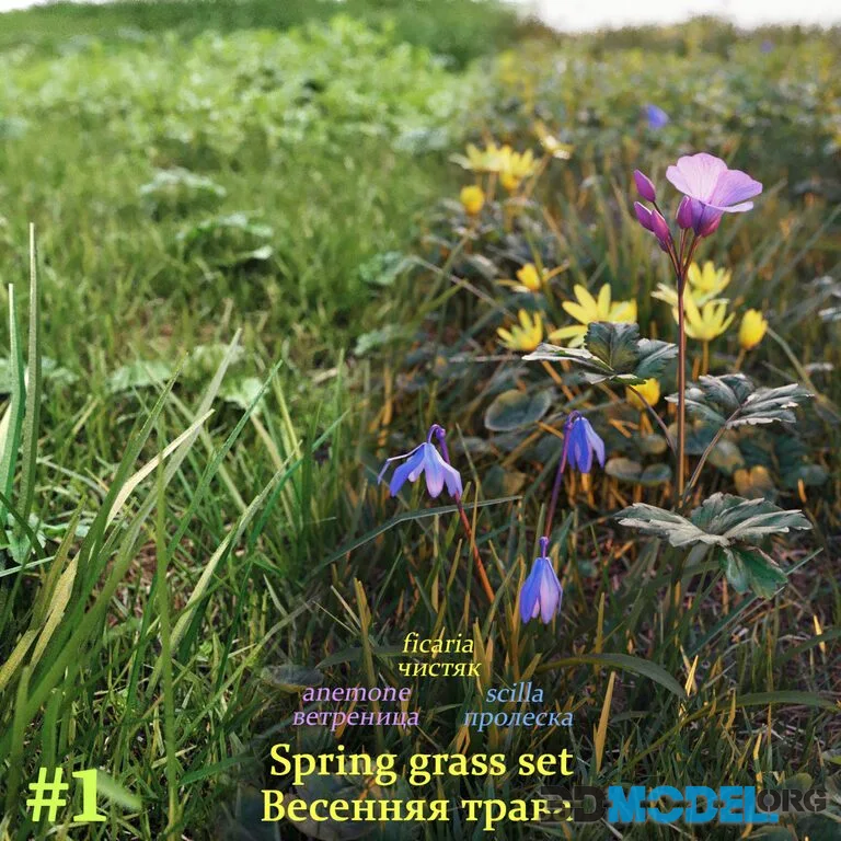 Spring grass, flowers