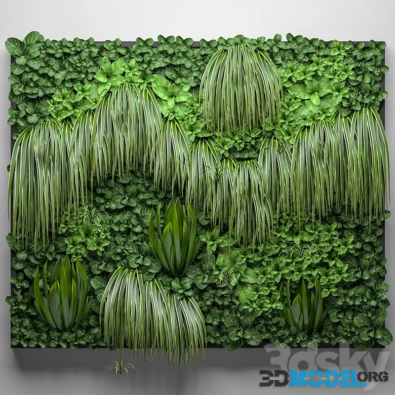 Vertical garden 15. Landscaping, phytowall, phytomodule, green wall, painting