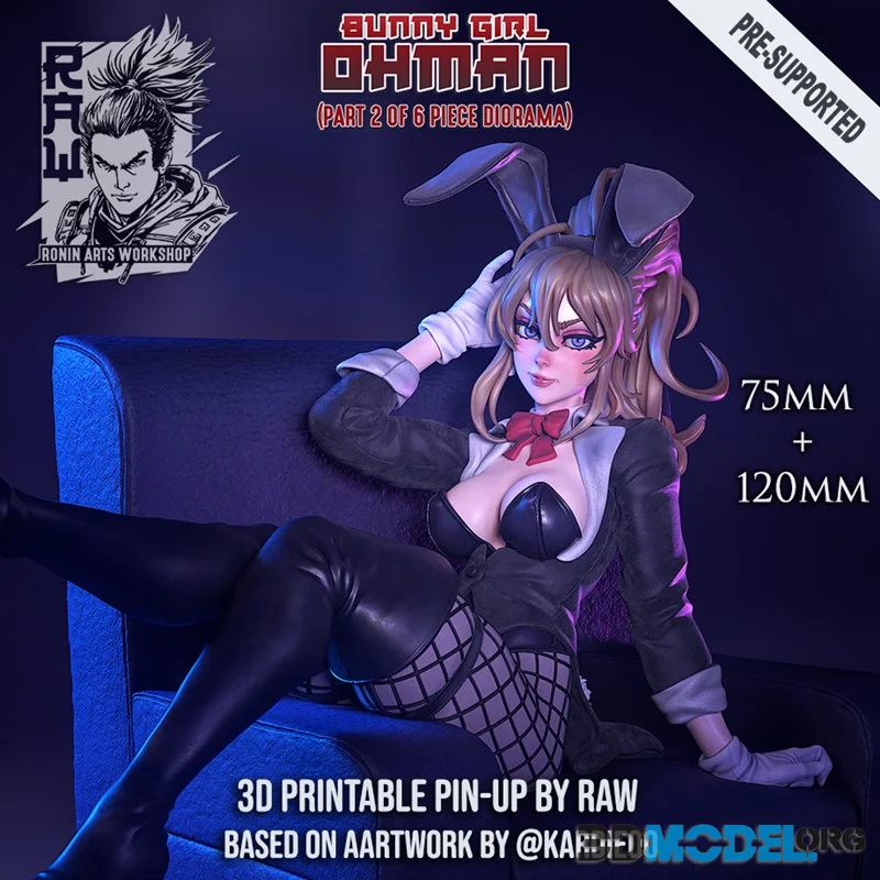 RAW - Bunny Girl Ohman - Bunnygirl PinUp – Printable