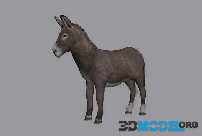 Animated donkey low-poly (PBR)