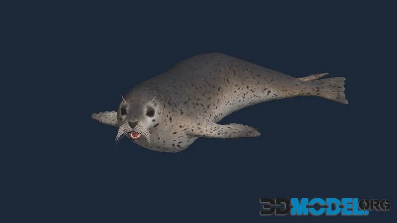 Animated seal sea lion low-poly (PBR)
