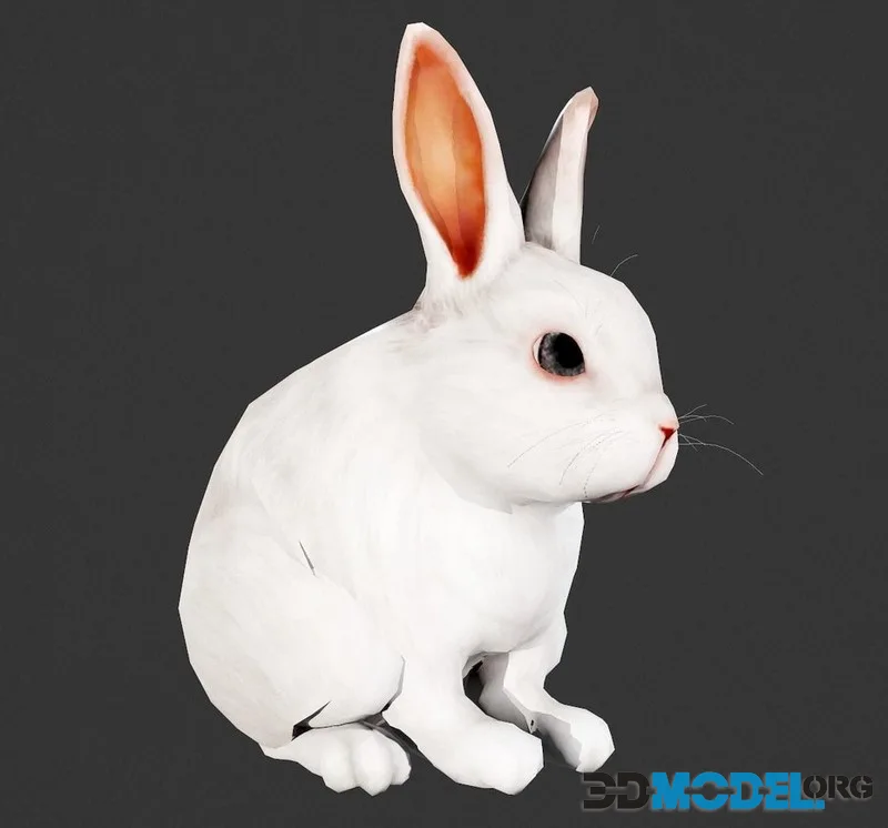Animated white rabbit low-poly (PBR)