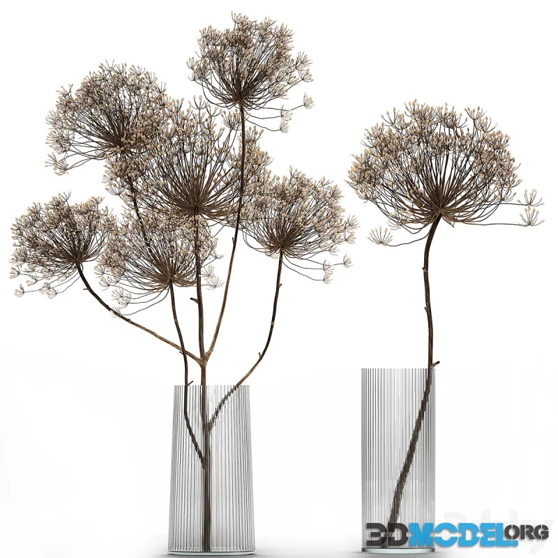 Bouquet of dried flowers in a glass vase with dry branches Hogweed 158