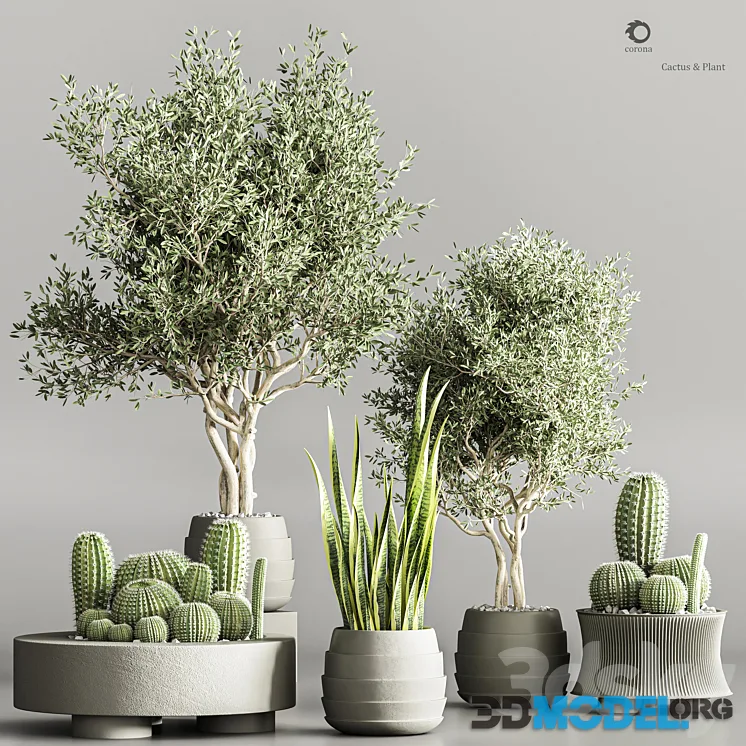 Cactus & plant vol 02