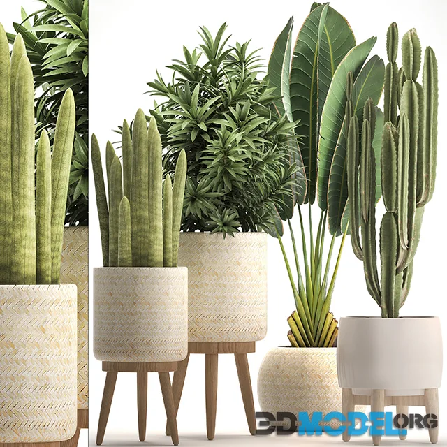 Collection of plants 320