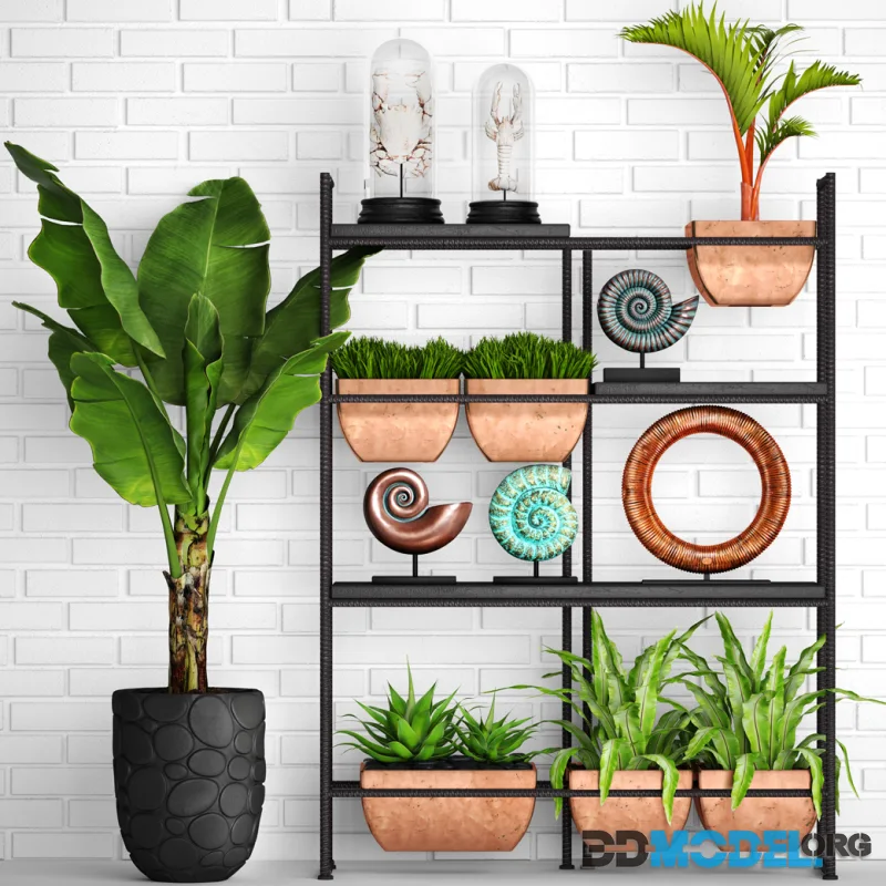 Decorative set. 2. banana palm, white brick wall