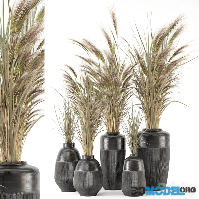 Dry plants 25 - Dried Plantset in handmade vase