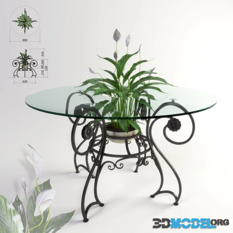 Forged table and plant Spathiphyllum