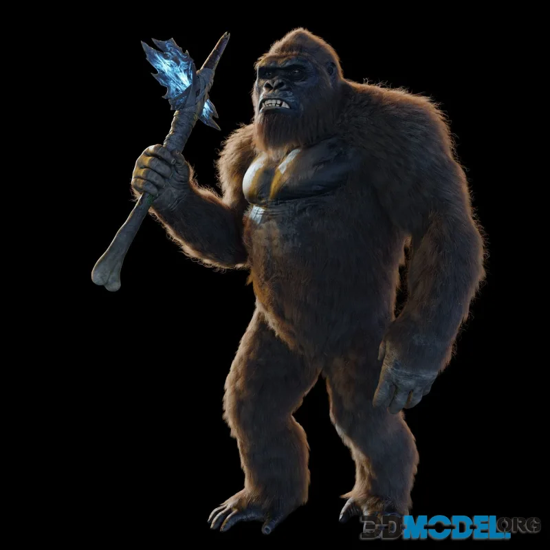 Kong 2021