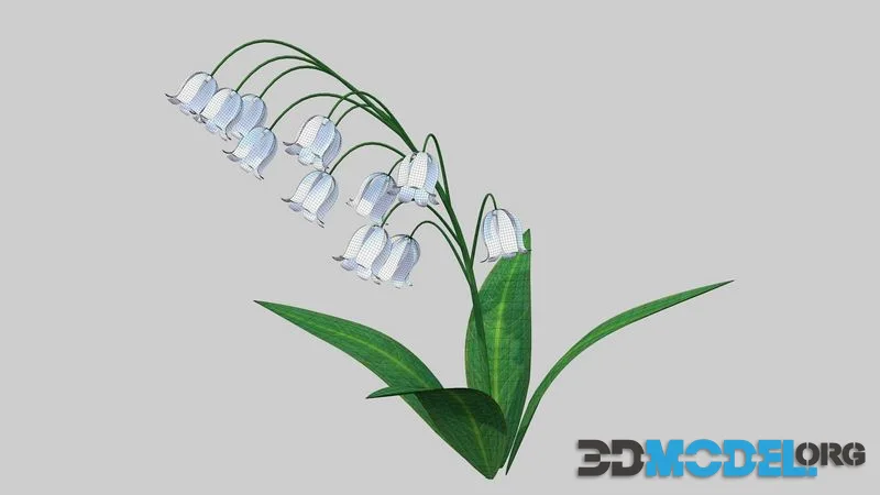 Lily of the valley low-poly (PBR)