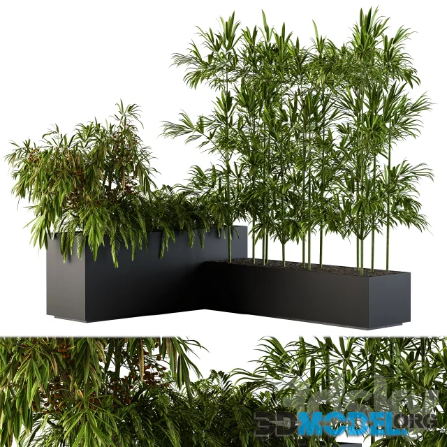 Outdoor Plants Black Plastic Box - Set 73