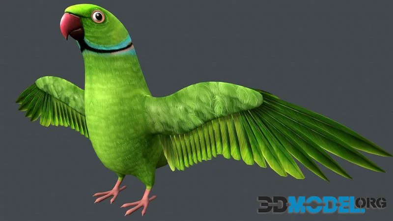 Parrot bird low-poly (PBR)