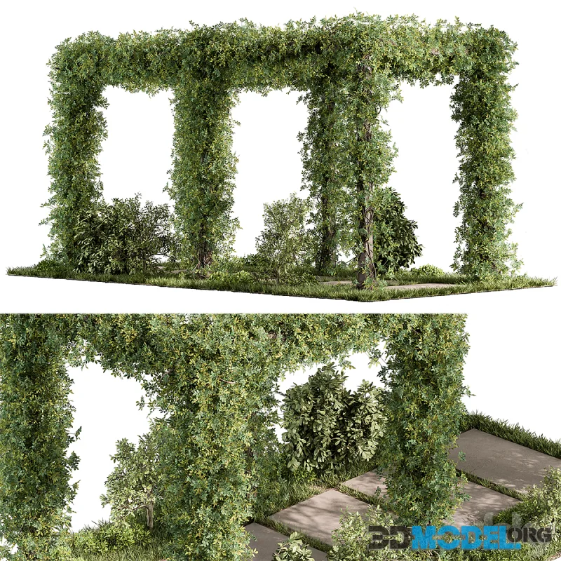 Pergola and Plant - Set 89