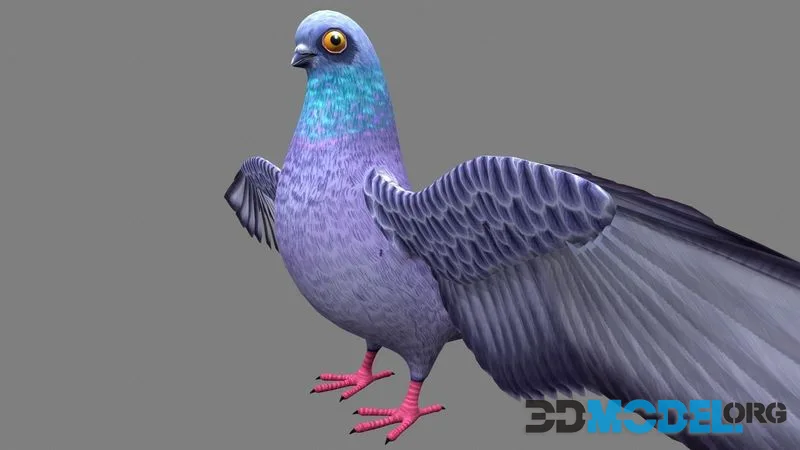 Pigeon bird low-poly (PBR)
