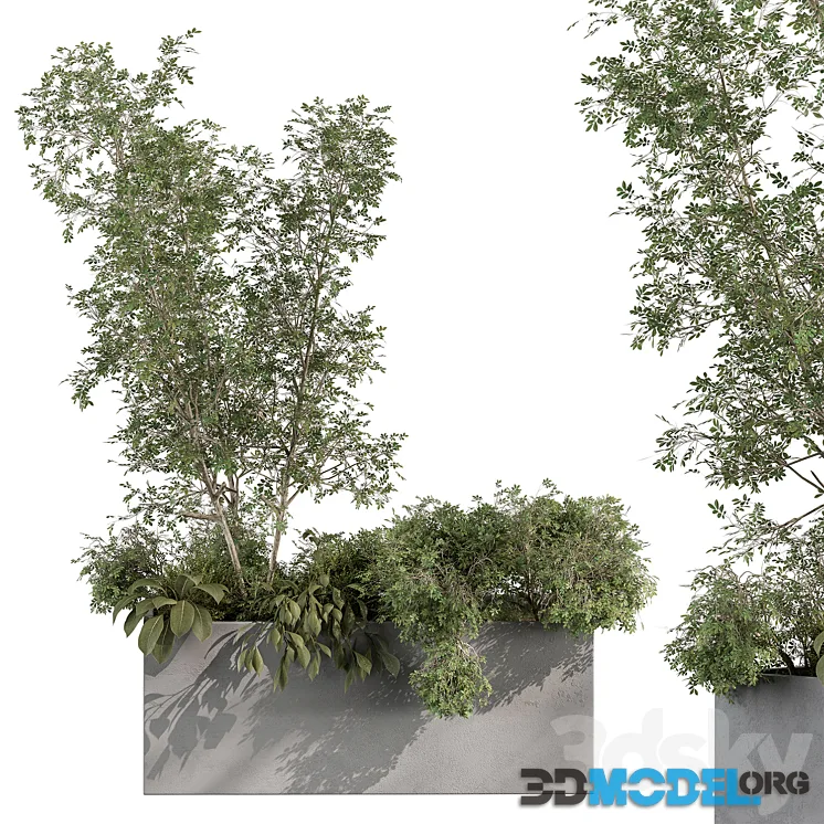Plant Box – Outdoor Plants 517