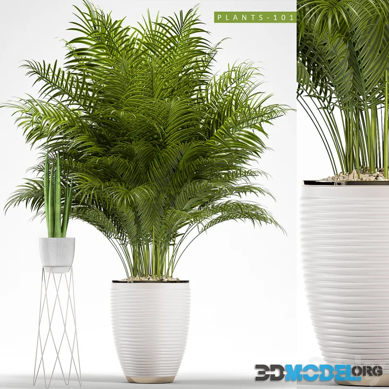 PLANTS 101