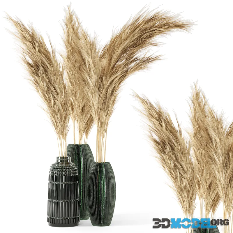 Vase Dry plants 22 - Dried Pampas in handmade vase
