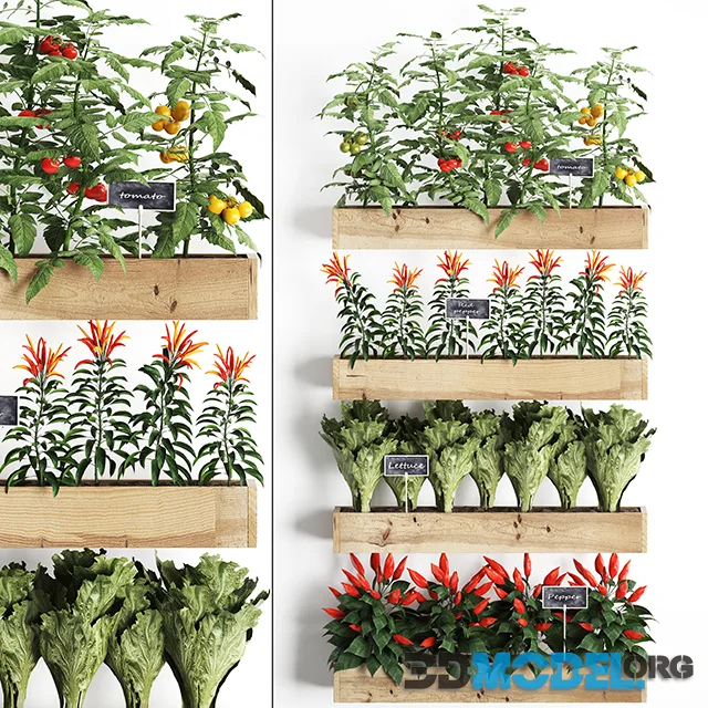 Vertical gardening in wooden wall boxes pots with kitchen garden, vegetable garden, vegetables, herbs, peppers, tomatoes, tomatoes, lettuce. Set 45