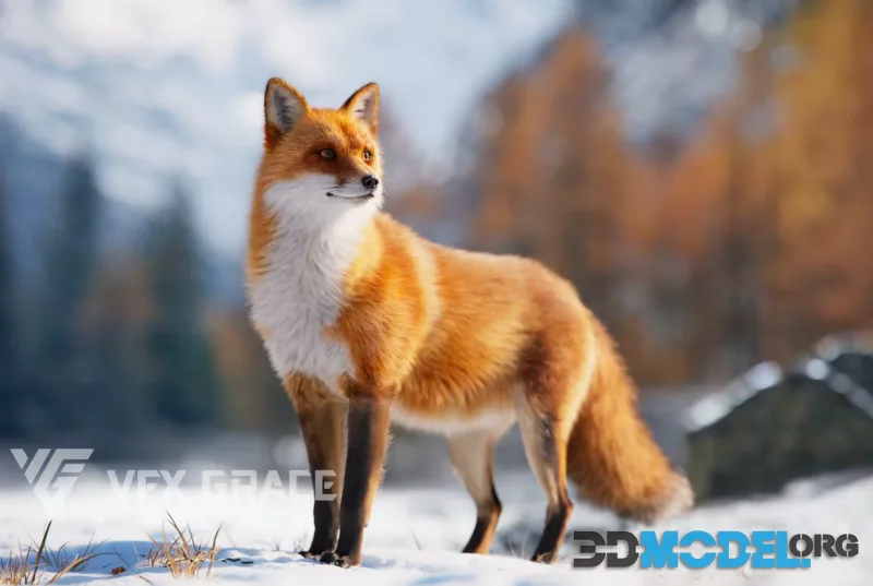 VFX Grace - Red Fox Animation